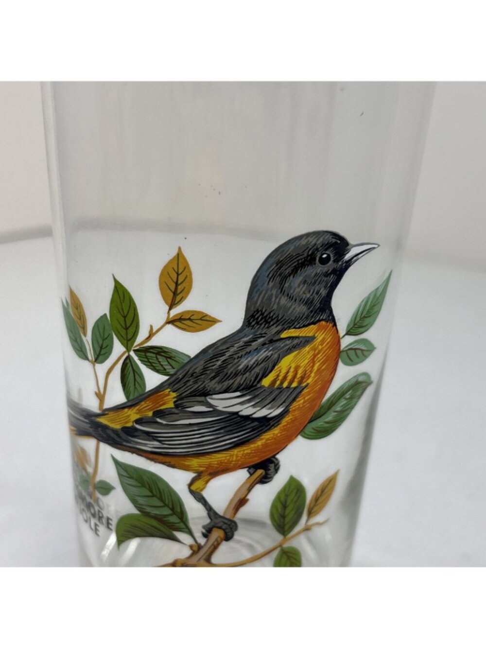 “Baltimore Oriole” Vintage 12oz Flat Tumbler By West Virginia Glass Specialty - Picture 3 of 6